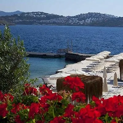 Hotel Palmalife Resort And Spa Bodrum Yalikavak